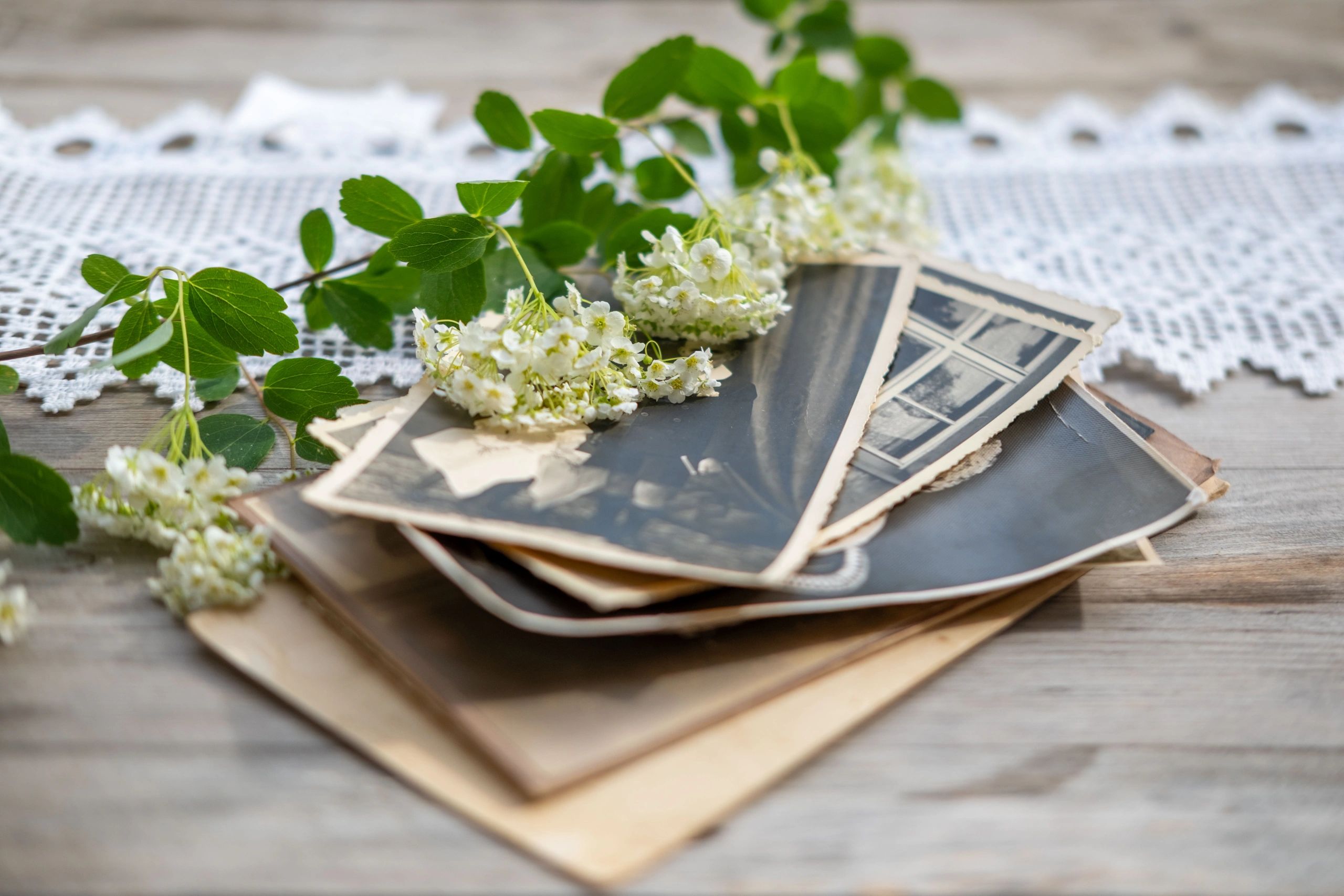 Vintage family photographs and archival prints arranged on a table